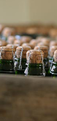 Dupont cidre bottles in their crate